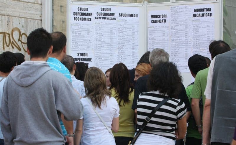 Locuri de muncă vacante și programe de formare pentru care se organizează înscrieri în săptămâna 14-20 iulie la Botoșani