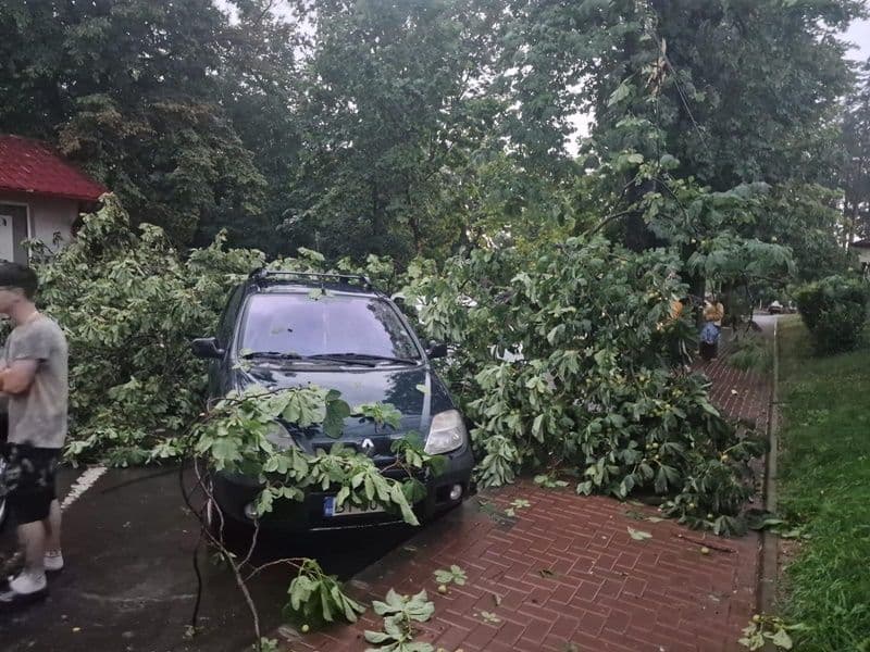 Efectele furtunii care a măturat județul! 29 de apeluri la 112 înregistrate până la această oră - FOTO