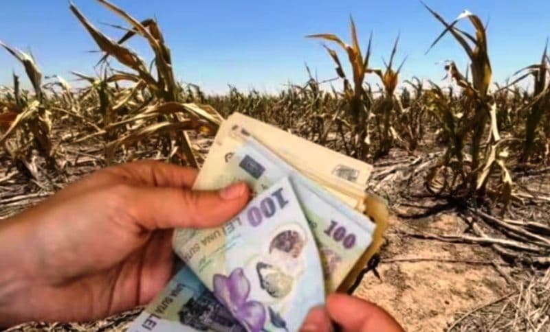 Atenție fermieri! Actul trebuie depus la Primărie până pe 1 august. Riști să pierzi banii dacă nu îl ai
