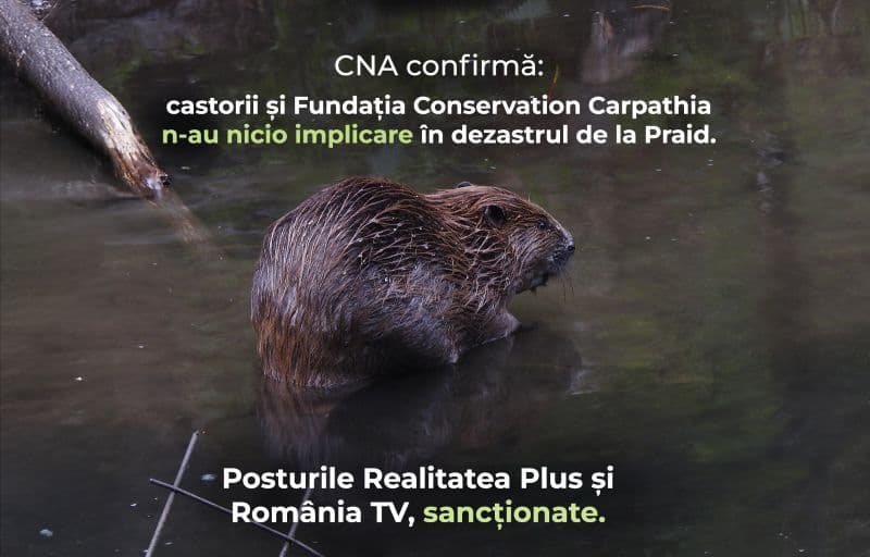 CNA sancționează televiziunile care au promovat dezinformarea privind castorii și Salina Praid