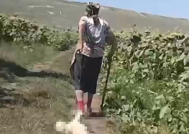 Anchetă a Poliției Animalelor în cazul femeii filmate în timp ce târâia un cățel legat