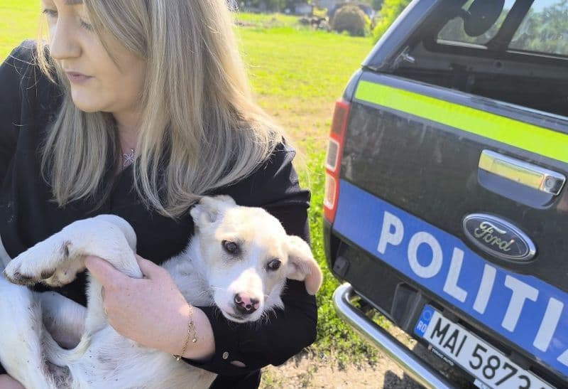 84 de ani are femeia filmată în timp ce târâia un cățel legat. Polițiștii a identificat-o și au amendat-o