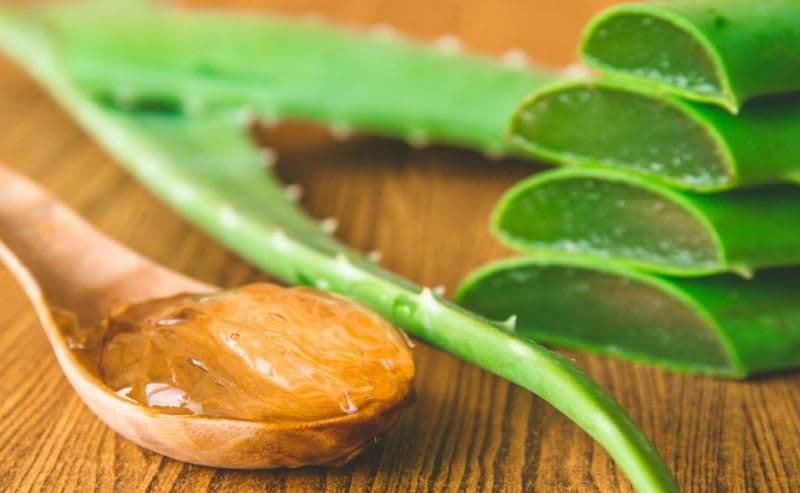 Beneficii și utilizări pentru sănătate ale Aloe Vera