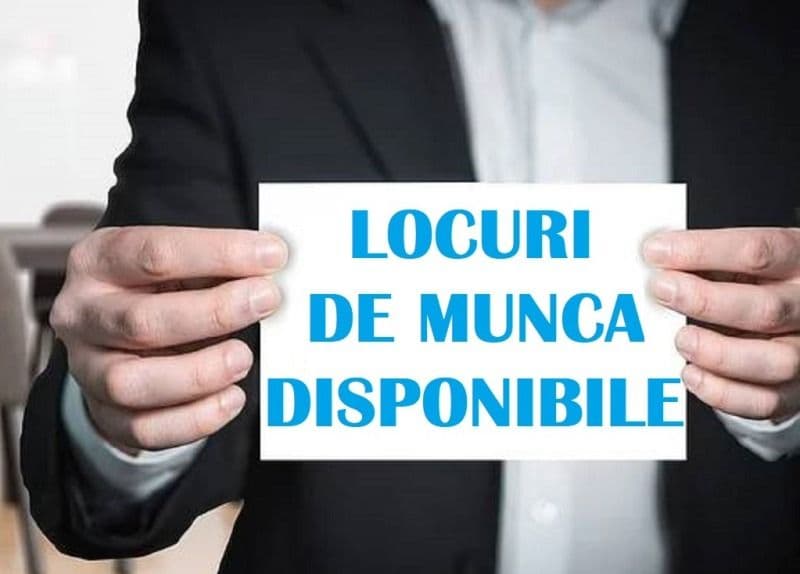 Locurile de muncă vacante la nivelul județului Botoșani