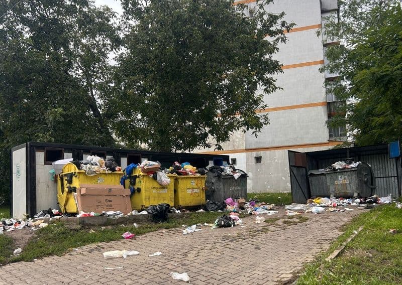 Primim la redacție – „Caut o modalitate de a mă plânge de modul în care este gestionat gunoiul în Dorohoi” – FOTO