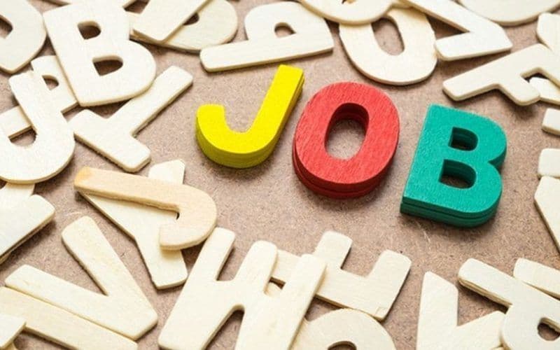 215 locuri de muncă oferite la Bursa Locurilor de Muncă pentru absolvenți