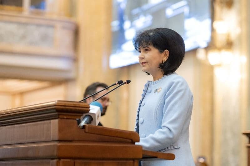 Senatorul PSD Doina Federovici cere clarificări privind demersurile pentru includerea României în Programul Visa Waiver