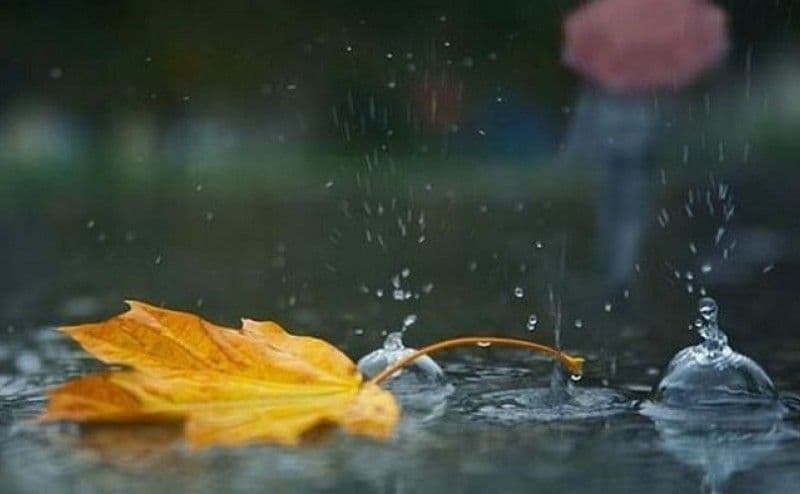 Meteorologii anunță ce fel de toamnă vom avea în următoarele săptămâni. Când vin ploile și când se răcește vremea în România