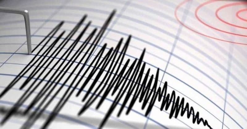 Cutremur cu magnitudinea de 4,2 pe scara Richter a avut loc în zona seismică Vrancea