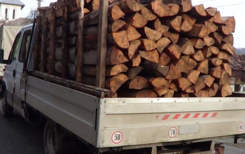 Doi bărbați sancționați pentru transport ilegal de material lemnos