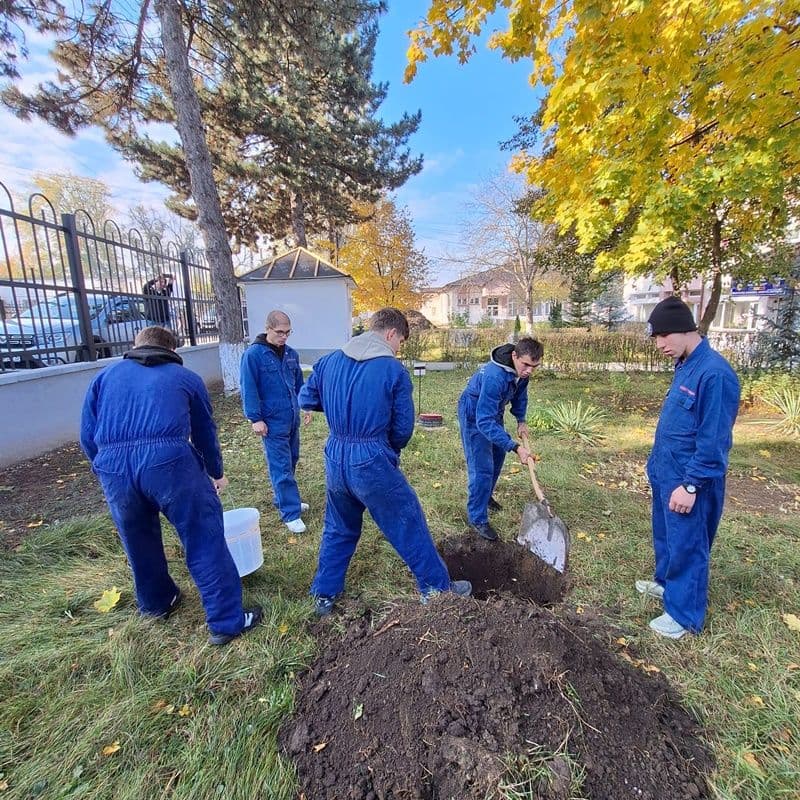 „Plantăm speranță în pământ și culoare pe hârtie” – activitate a Școlii Profesionale Speciale „Ion Pillat” Dorohoi