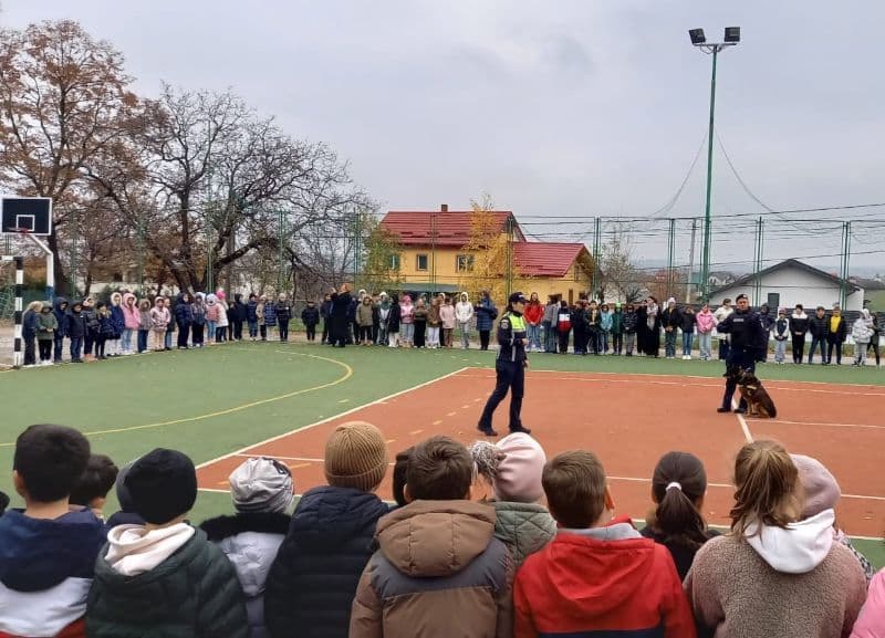 Acțiuni pentru siguranța elevilor desfășurate în Botoșani și Dorohoi