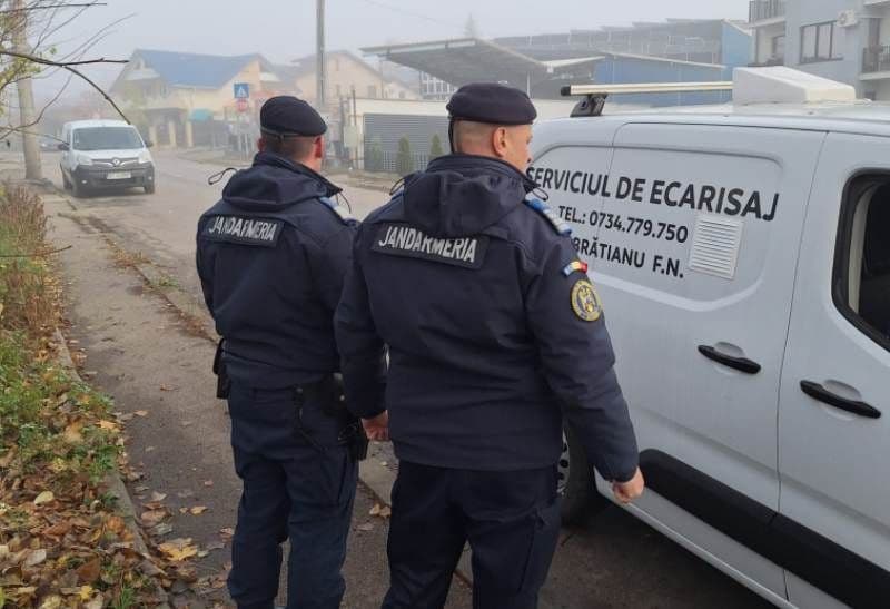 Botoșăneancă amendată după ce a lăsat în libertate pe spațiul public, un câine agresiv