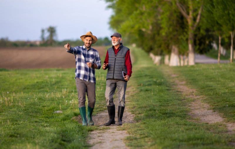 Se primesc bani de la stat. Cererile se pot depune până pe 30 noiembrie. Cine are dreptul la plățile finale