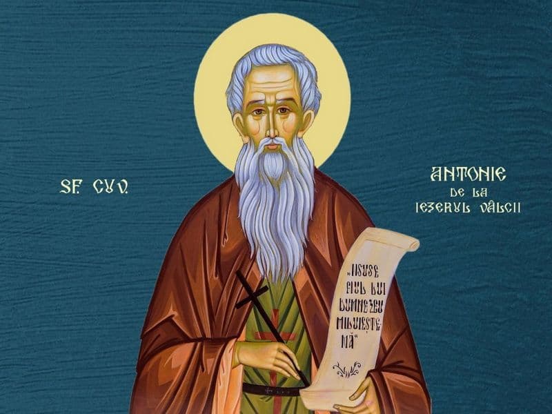 SINAXAR – 23 Noiembrie – Sf. Cuv. Antonie de la Iezerul Vâlcii (Dezlegare la peşte)