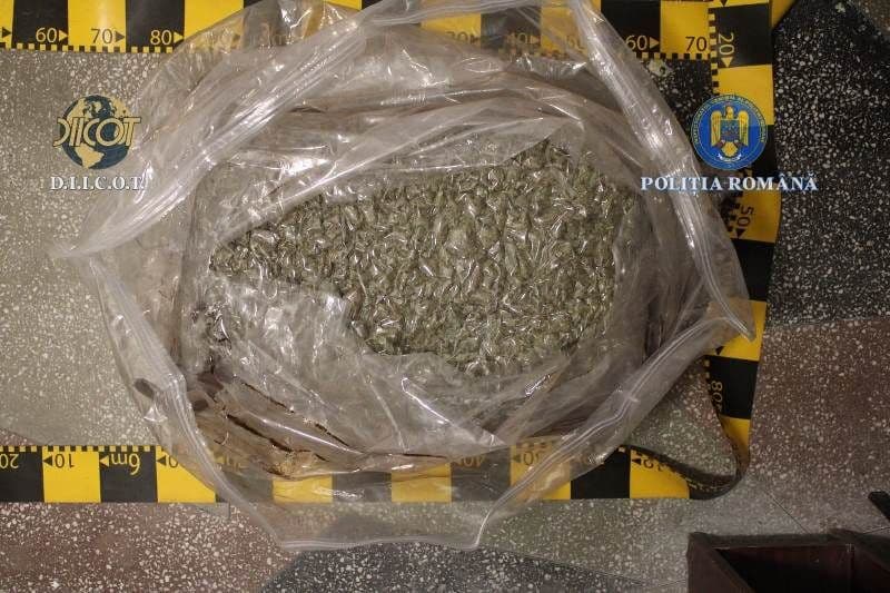 Botoșăneni cercetați pentru trafic de droguri de risc