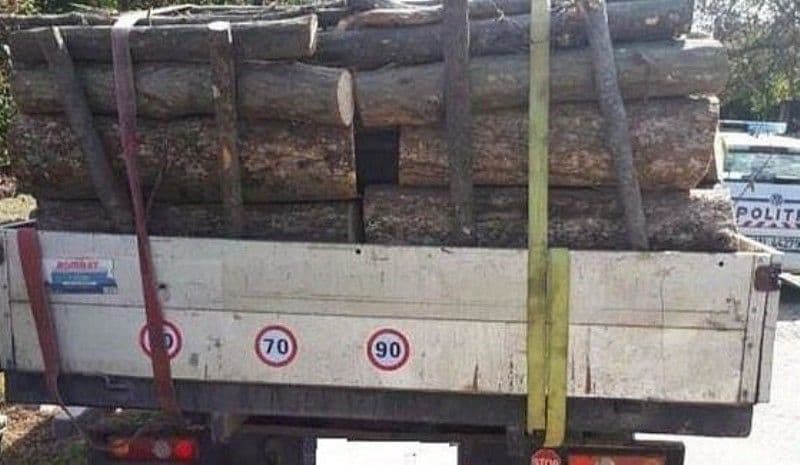 Sancțiune de 4.000 de lei și material lemnos confiscat în urma unui control în trafic 