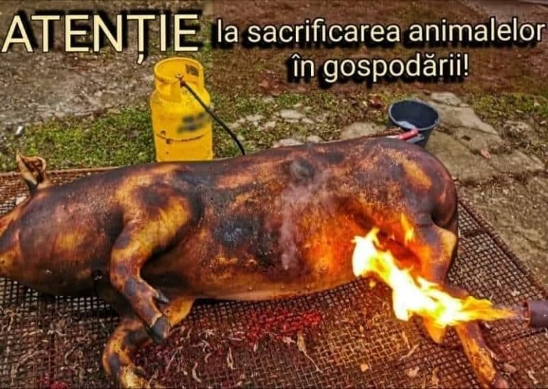 Recomandări ISU Botoșani 