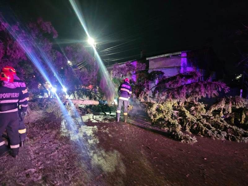 Copaci doborâți de vânt în tot județul! Pompierii au intervenit