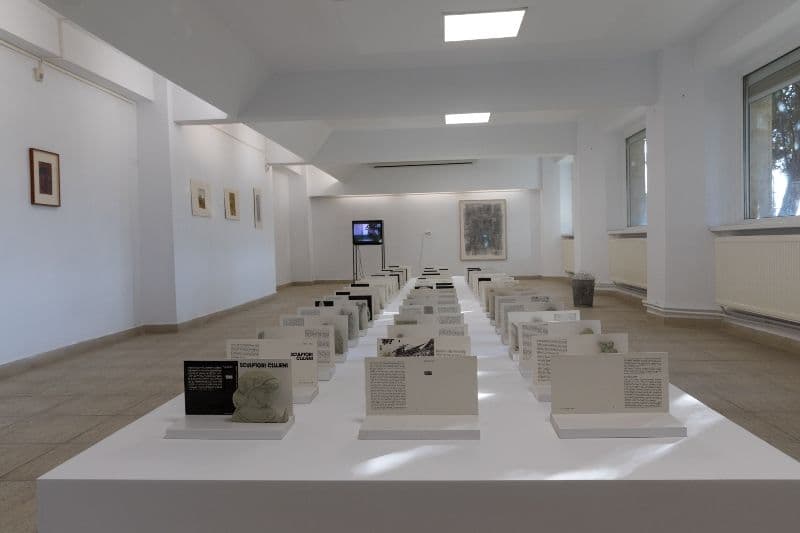 Expozitia Galeriei PLanul B-Memorialul Ipotesti