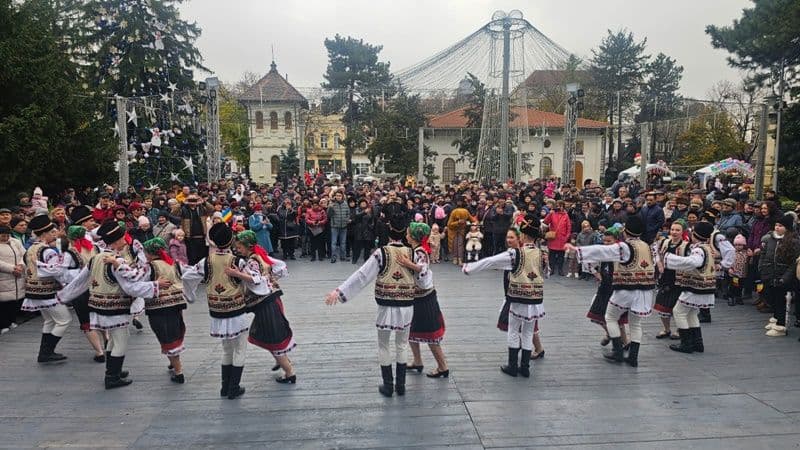 Mugurelul Margineanca la Braila_006