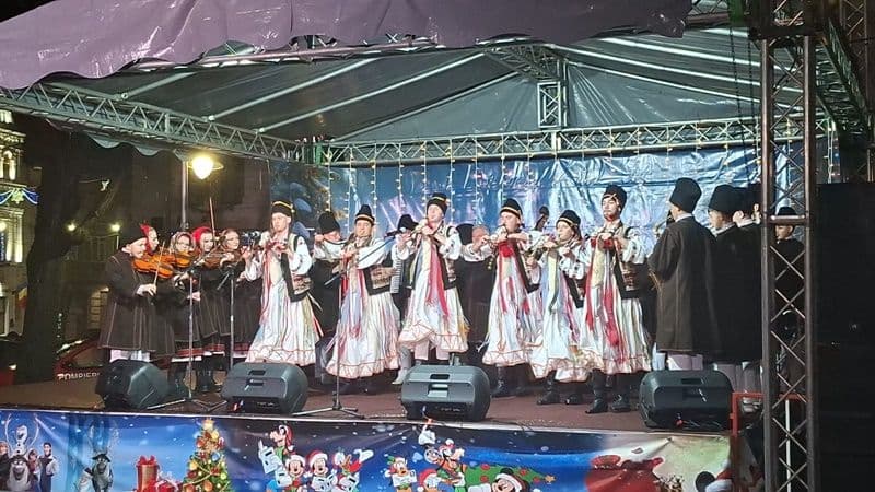 Mugurelul Margineanca la Braila_007