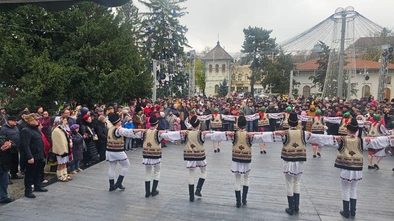 Mugurelul Margineanca la Braila_014