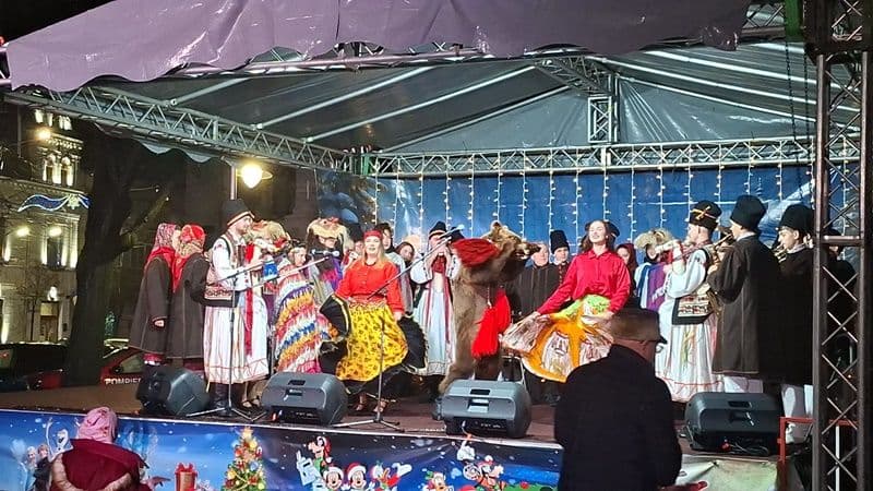 Mugurelul Margineanca la Braila_015