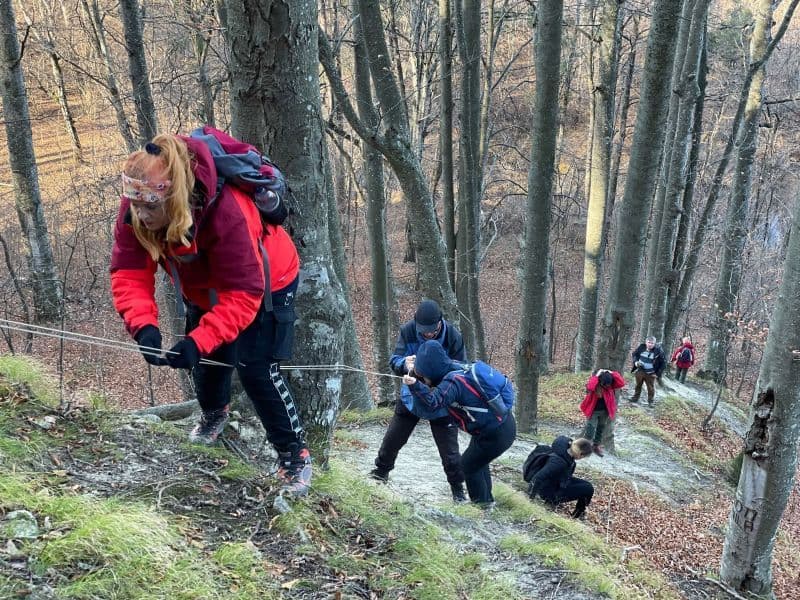 btlp (11)
