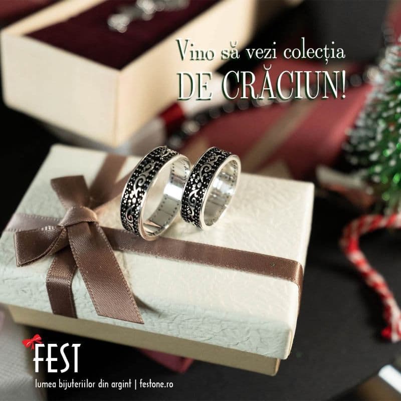 fest (3)