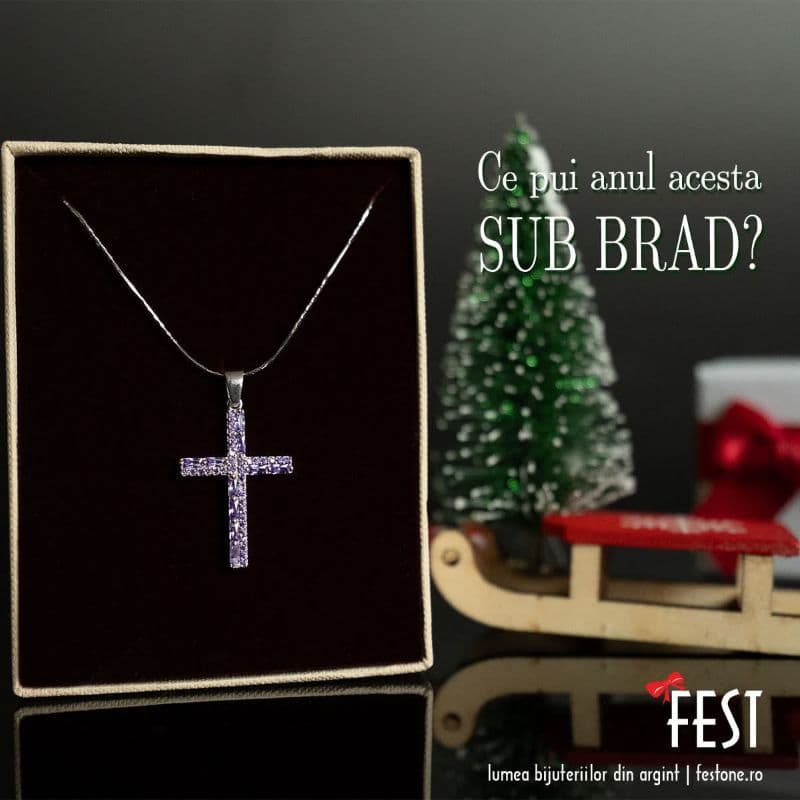 fest (2)
