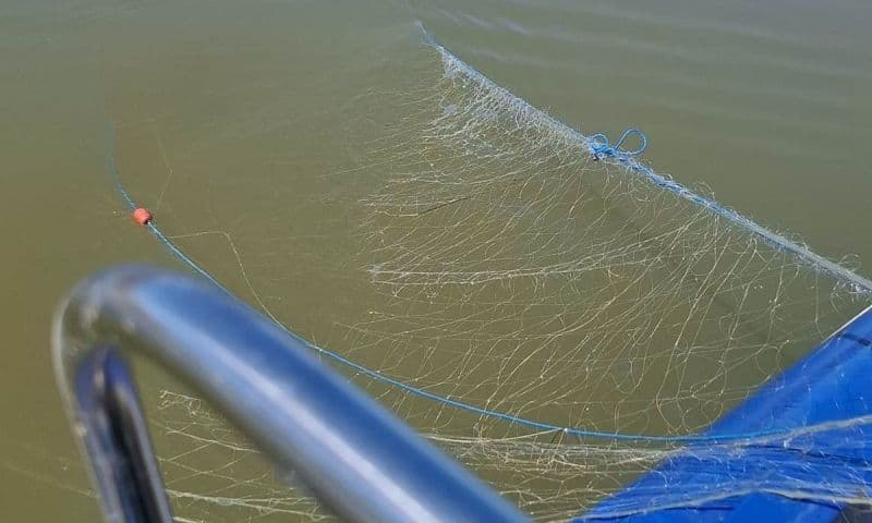 Peste un kilometru de plase ilegale scoase de polițiștii de frontieră de pe râul Prut3