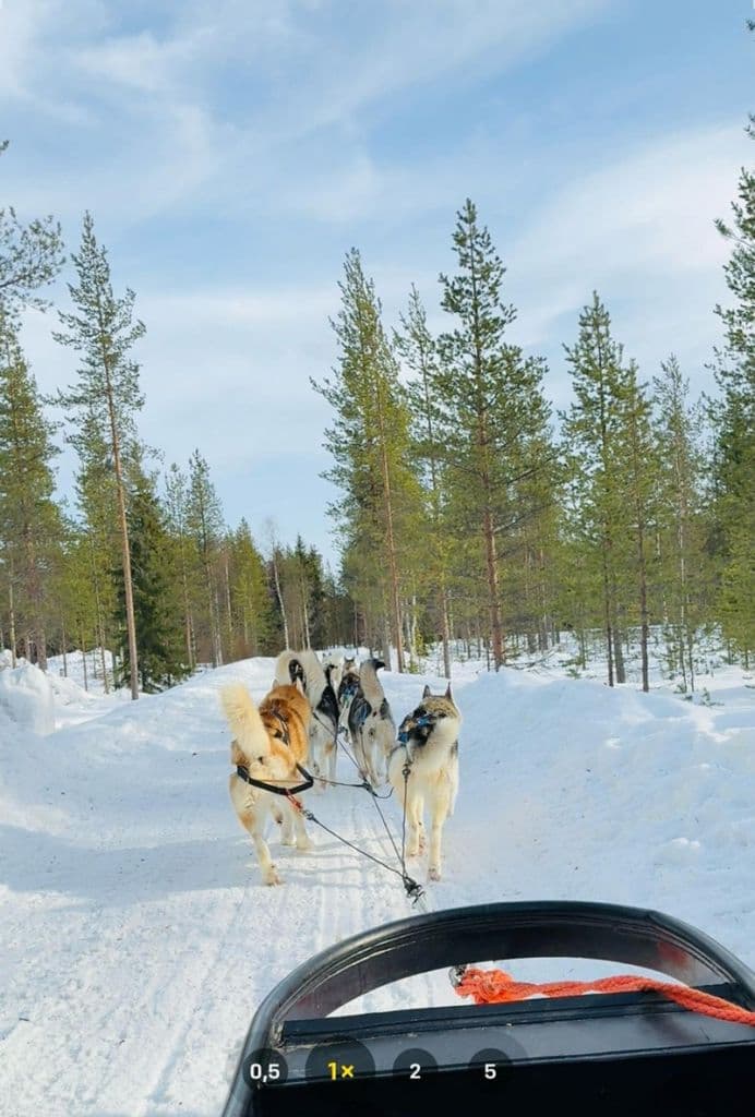 Erasmus Finlanda_006