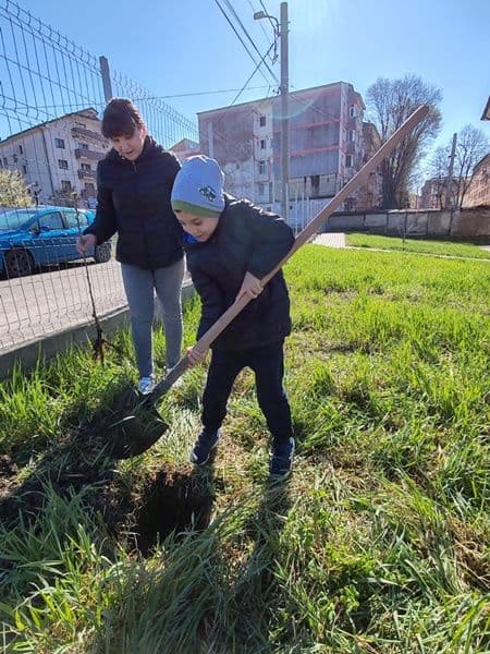 plantare 07