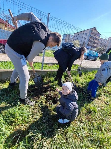plantare 13