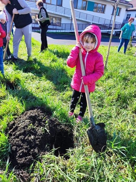 plantare 15