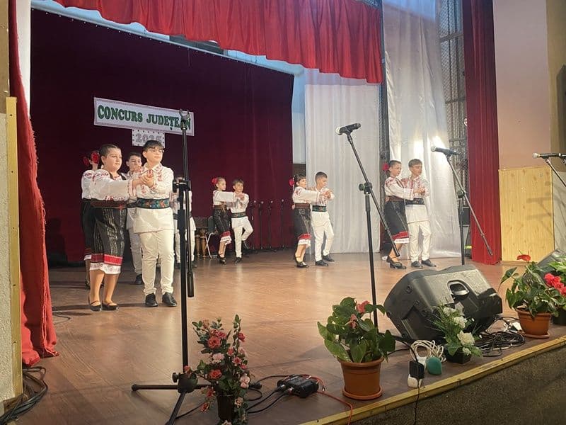 Concurs Judetean palate si cluburi 2025_004