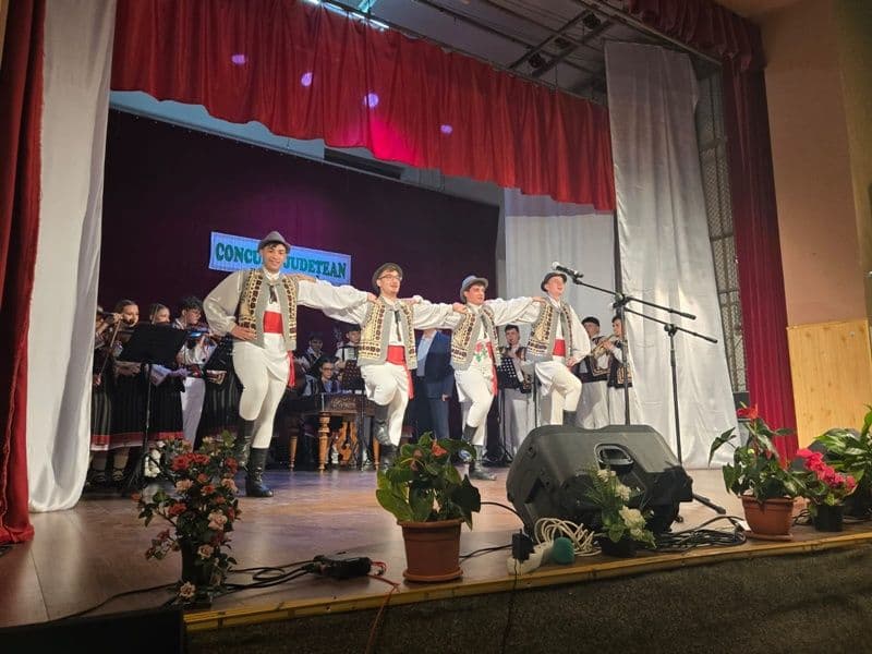 Concurs Judetean palate si cluburi 2025_007