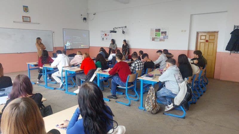 Activitate (4)