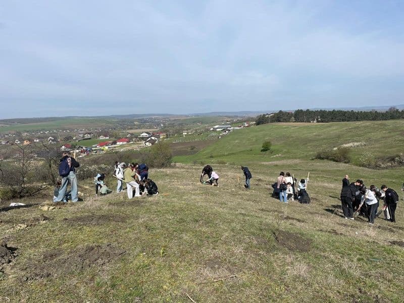 Ghica_04