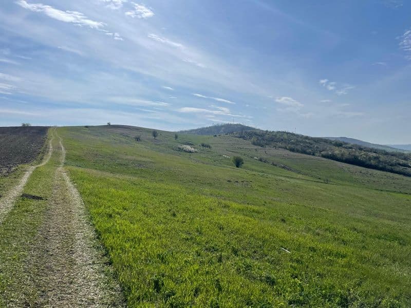 Ghica_06