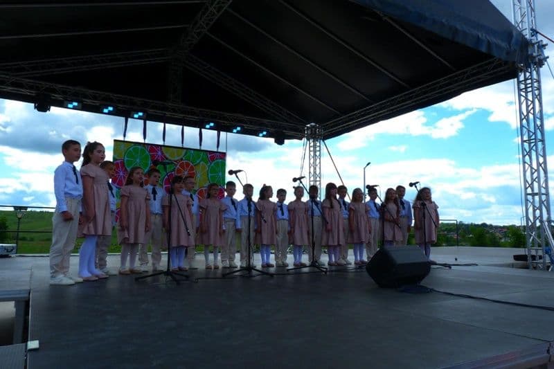 Clubul Copiilor Dorohoi_Ziua Copilului_004