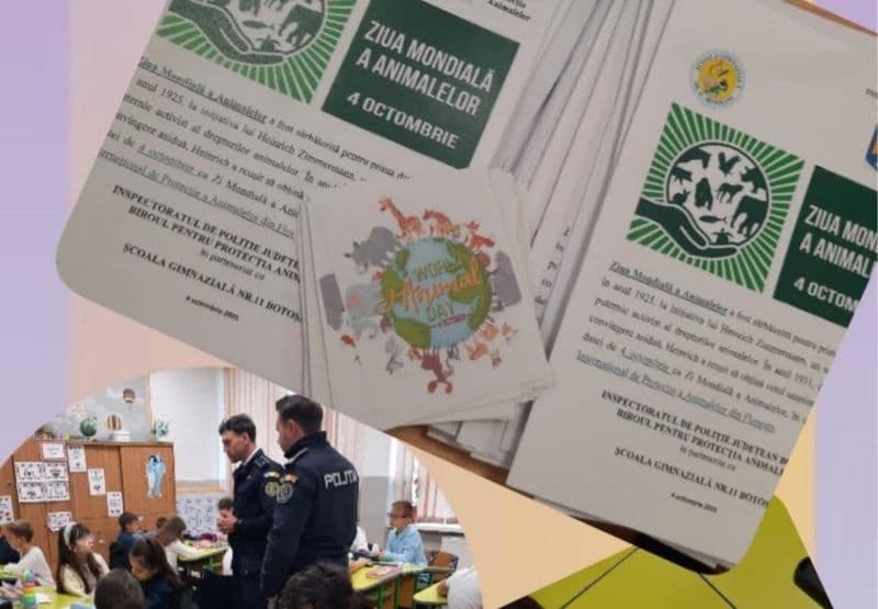 pol (2)
