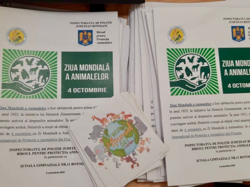 pol (5)