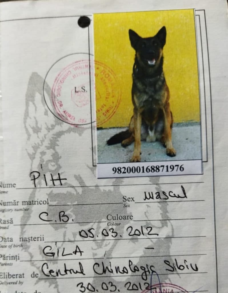 pih04