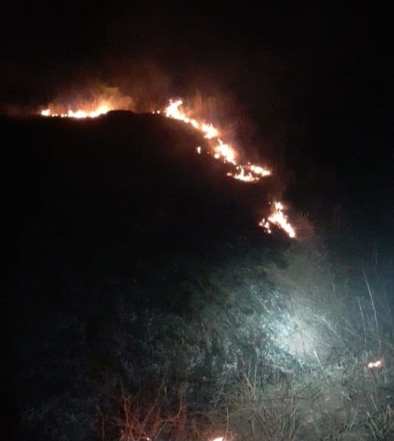 Incendiu vegetatie_002