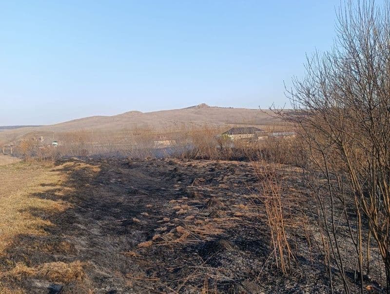 Incendiu vegetatie_003