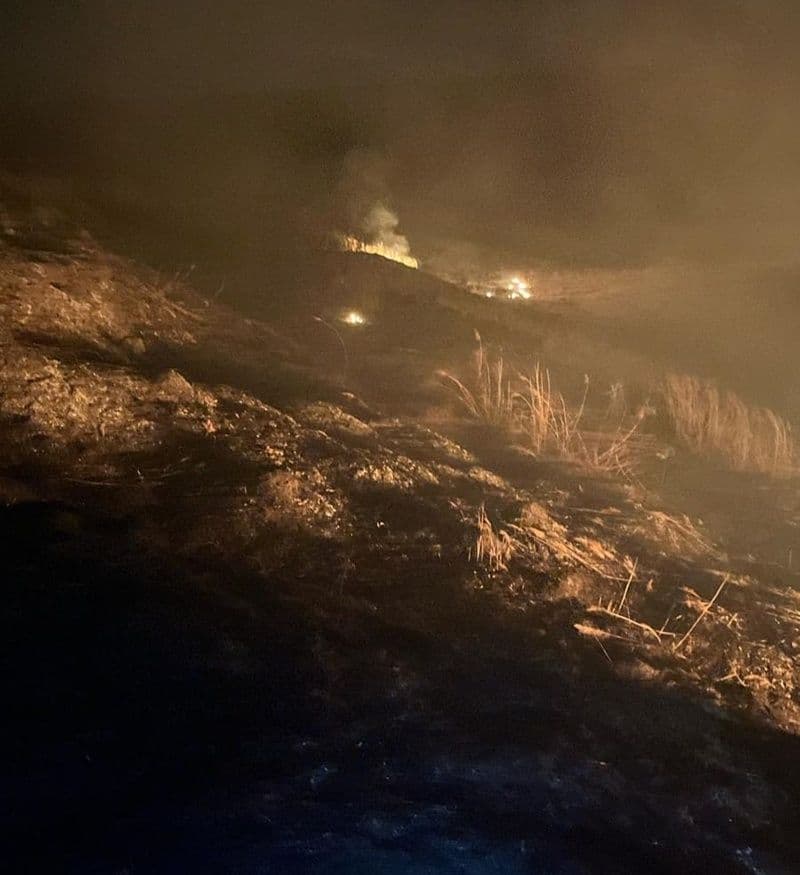 Incendiu vegetatie_004