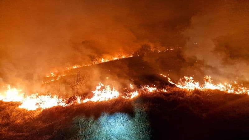 Incendiu vegetatie_001