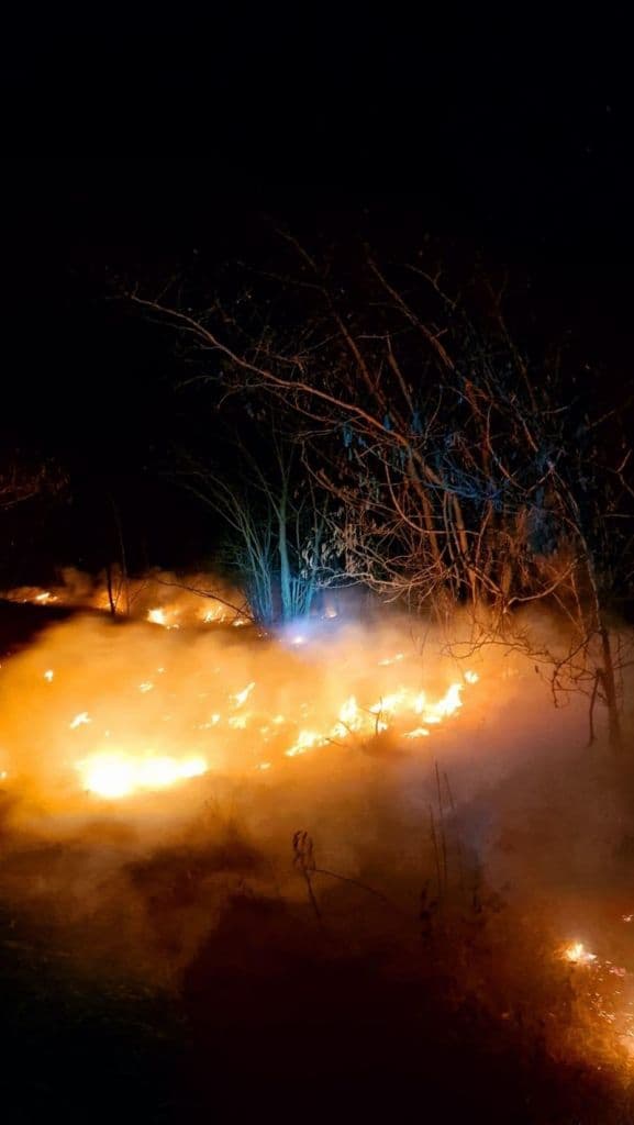 Incendiu vegetatie_005